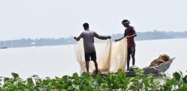 হাওরে দেশি মাছ কমছে, হাজার কোটি টাকার অর্থনীতি ঝুঁকিতে